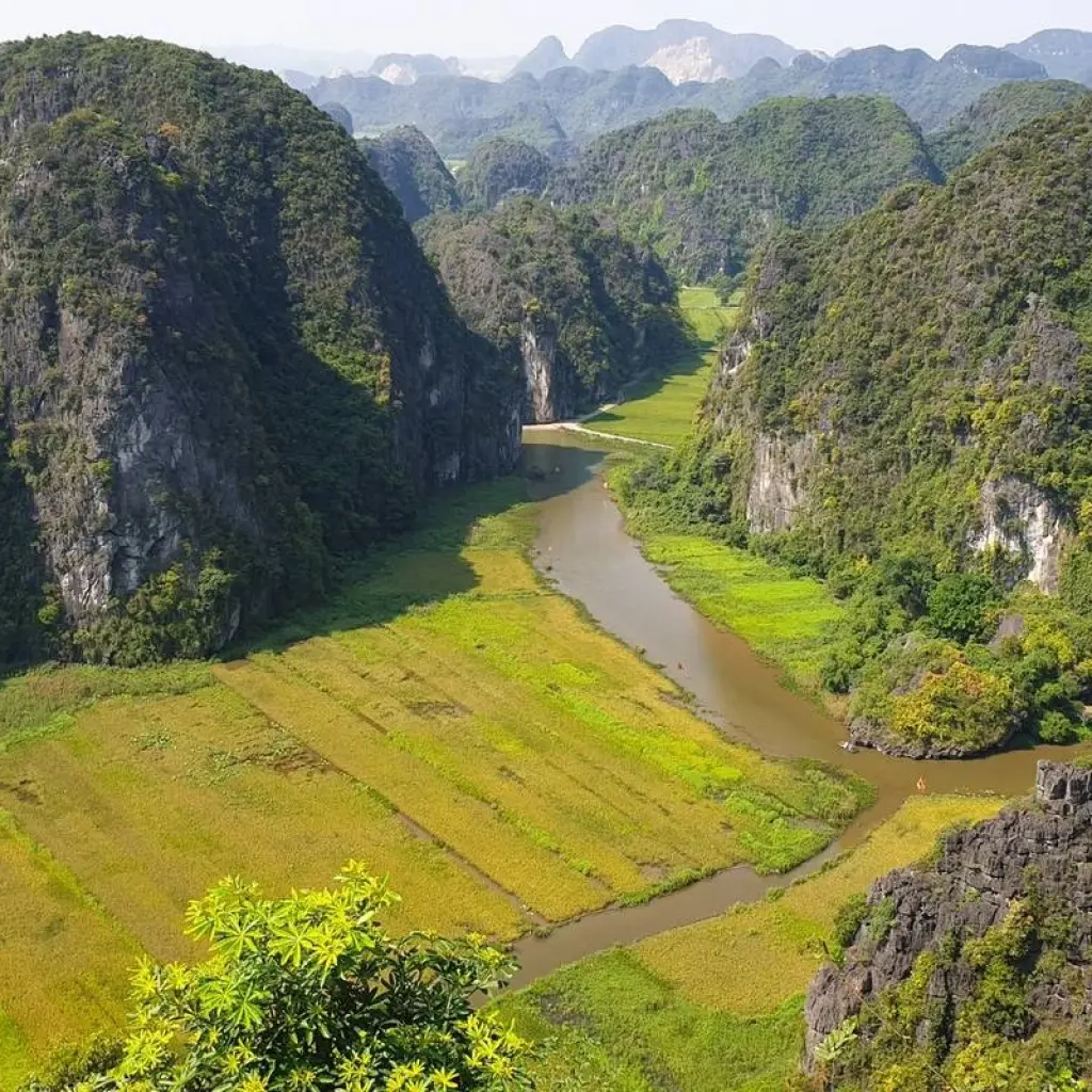 Explore Hanoi - Ninh Binh 2 days 1 Night ( Hoa Lu, Tam Coc, Bich Dong, Thung Nham Bird Valley) for 2 days with Asia Focus Travel and discover unforgettable experiences - Photo 2