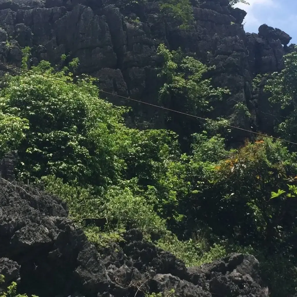 Explore North of Viet Nam Highlight 7 days 6 nights for 7 days with Asia Focus Travel and discover unforgettable experiences - Photo 2