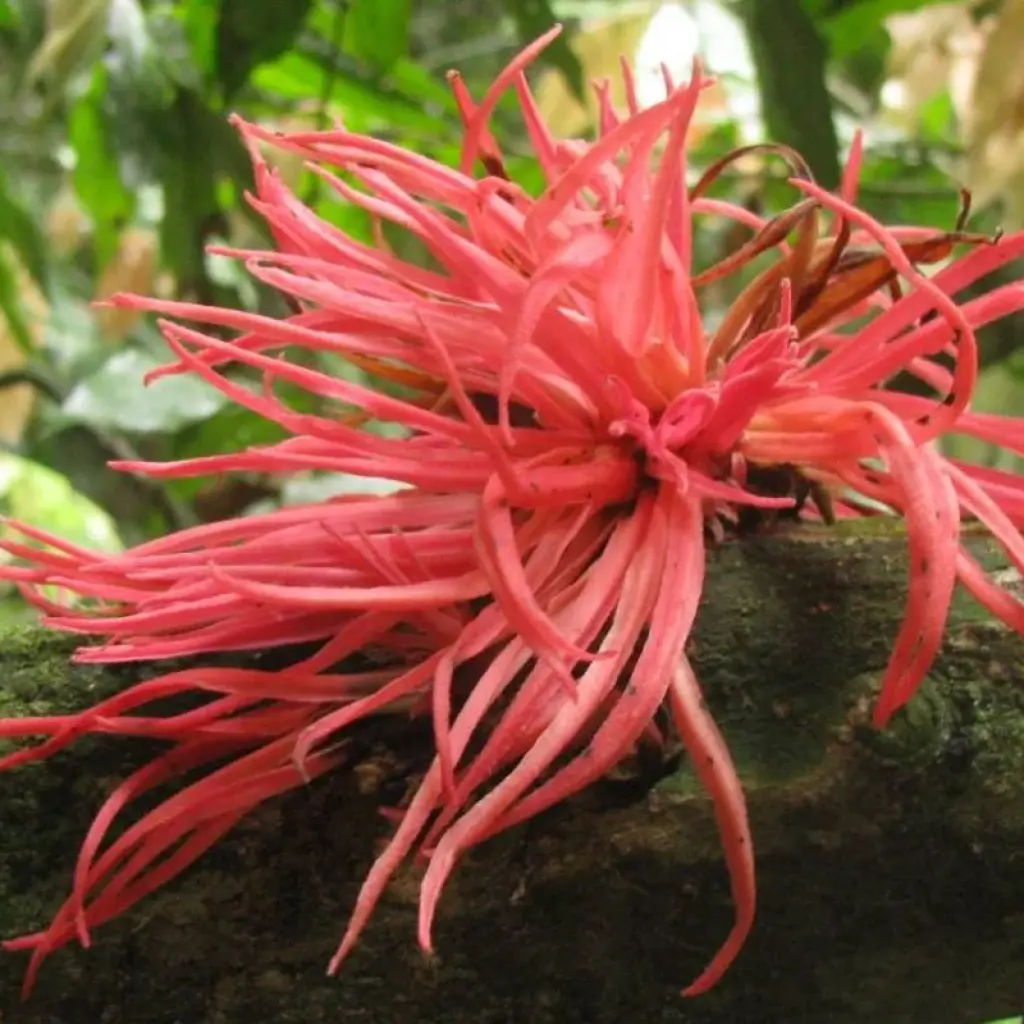 Explore Ulu Muda: A Date with Nature for 5 days with Asian Overland Services Tours & Travel  and discover unforgettable experiences - Photo 2