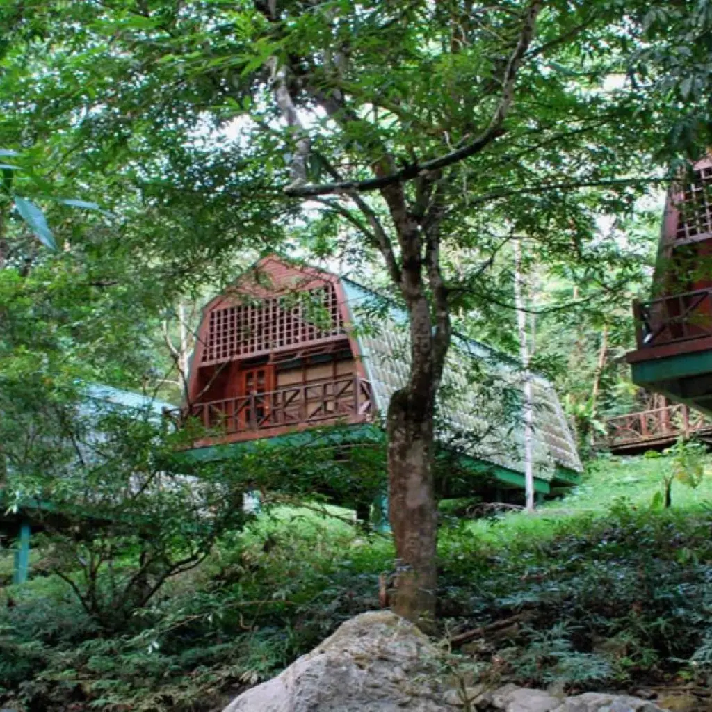 Explore Tabin Wildlife Experience for 3 days with Asian Overland Services Tours & Travel  and discover unforgettable experiences - Photo 2