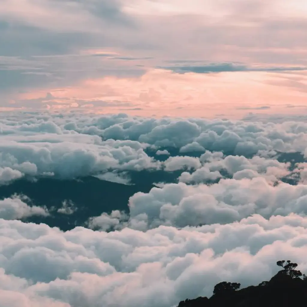 Explore Mount Kinabalu Climbing for 3 days with Asian Overland Services Tours & Travel  and discover unforgettable experiences - Photo 2