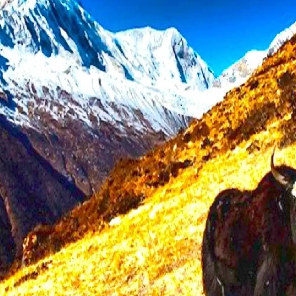 Explore Manaslu Circuit Trek for 16 days with Asian Heritage Treks & Expeditions and discover unforgettable experiences - Photo 2