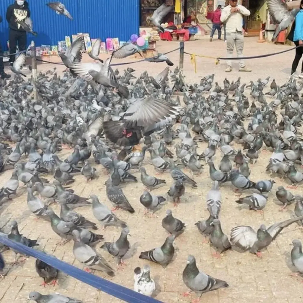 Explore Kathmandu Highlights Tour - 3 Days for 3 days with Asian Heritage Treks & Expeditions and discover unforgettable experiences - Photo 2