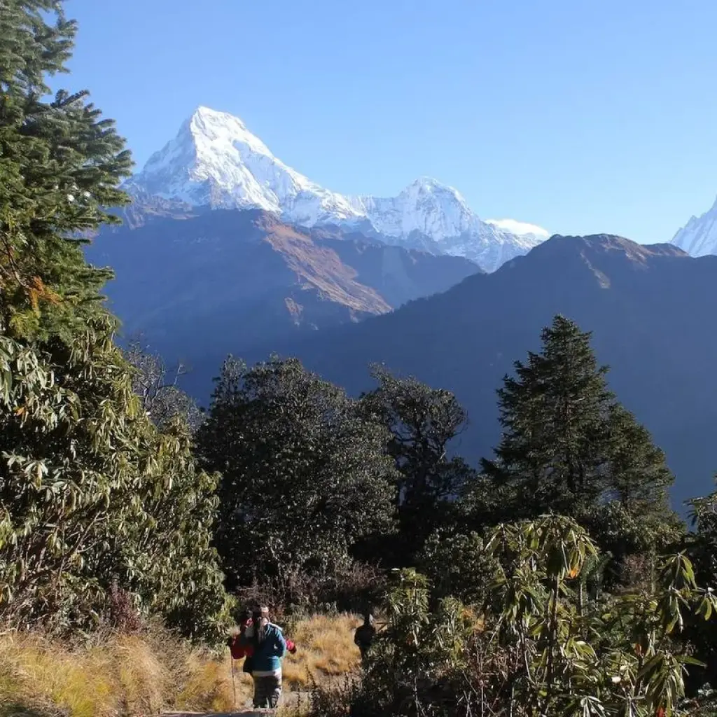 Explore Langtang Valley Trek for 12 days with Asian Heritage Treks & Expeditions and discover unforgettable experiences - Photo 2