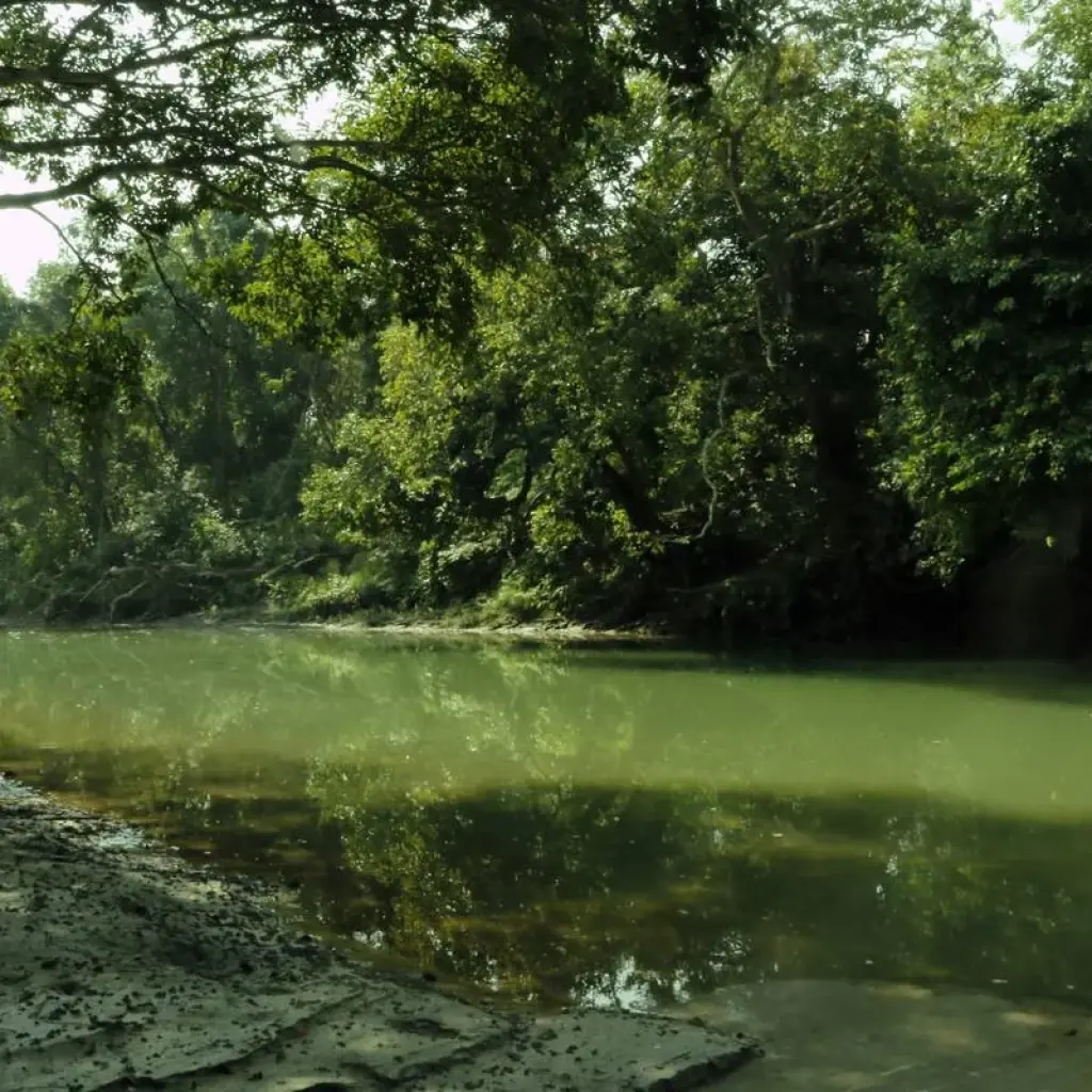 Explore Nepal Wildlife Tour (Bardiya National Park) for 6 days with Asian Heritage Treks & Expeditions and discover unforgettable experiences - Photo 2