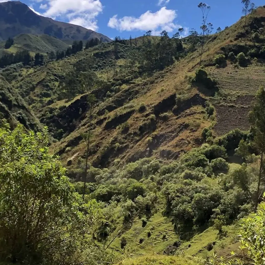Explore Hiking & Trekking in the Heart of the Ecuadorian Andes - 7 Days for 7 days with Authentic Ecuador and discover unforgettable experiences - Photo 2