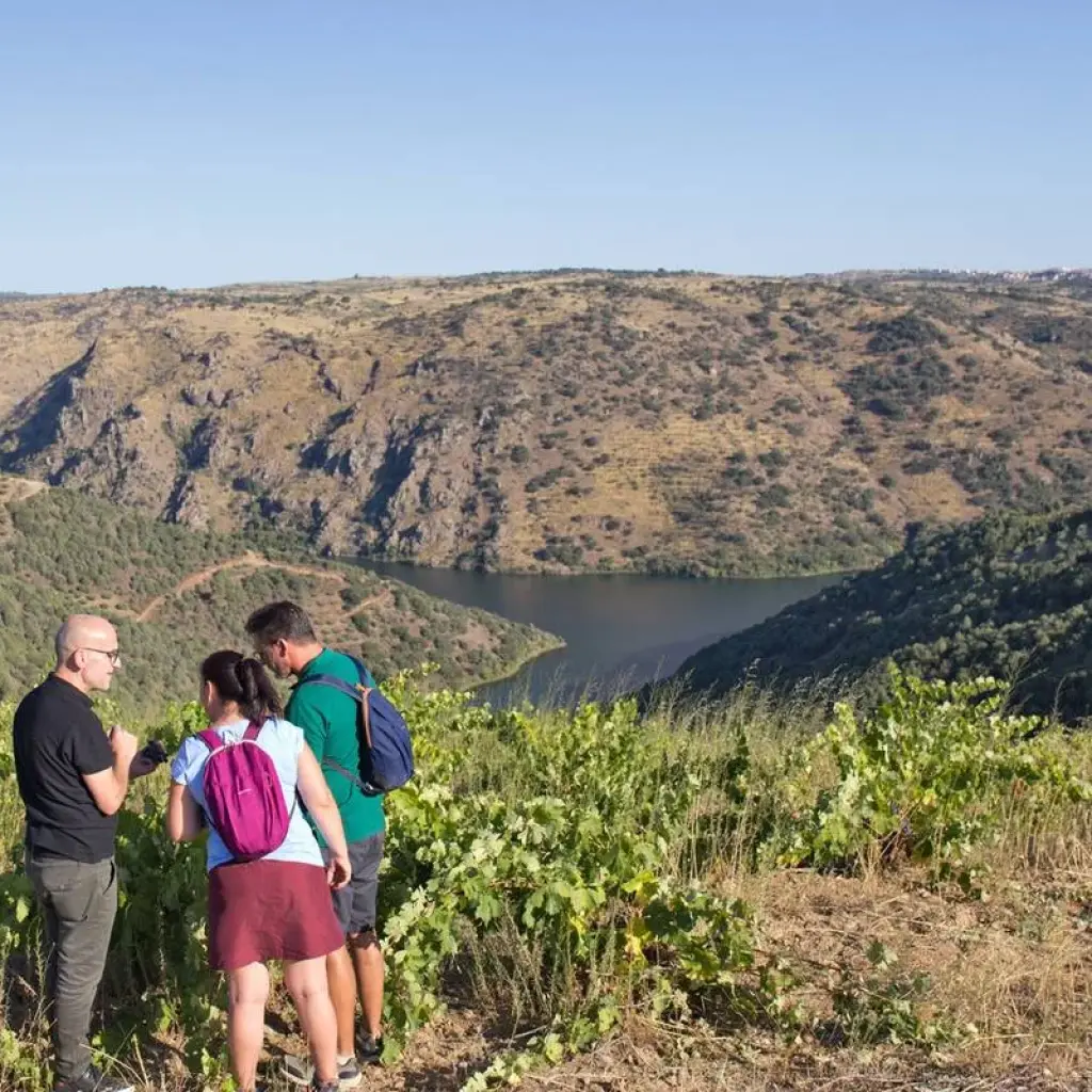 Explore Douro International Natural Park self-guided hike tour for 8 days with Authentic Trails and discover unforgettable experiences - Photo 2