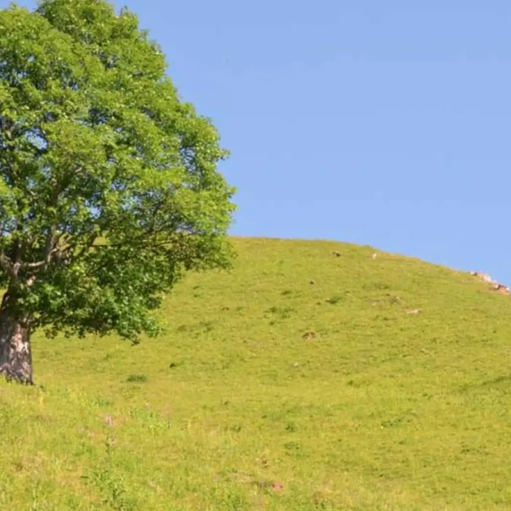 Explore 3 day intensive Azerbaijan private tour for 3 days with Azerbaijan Guide and discover unforgettable experiences - Photo 2