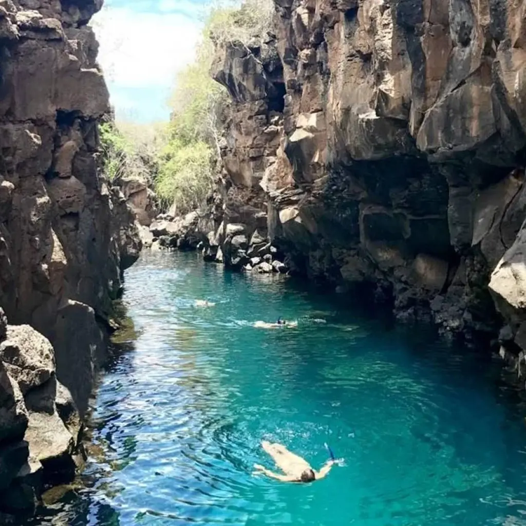 Explore Galápagos Explorer - Guayaquil & Santa Cruz - 7 Days for 7 days with BM Tours and discover unforgettable experiences - Photo 2