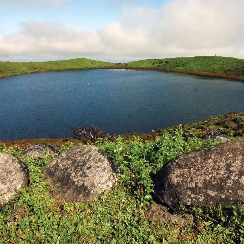 Explore Nature and Adventure: 5 Days in Santa Cruz and Isabela for 5 days with BM Tours and discover unforgettable experiences - Photo 2