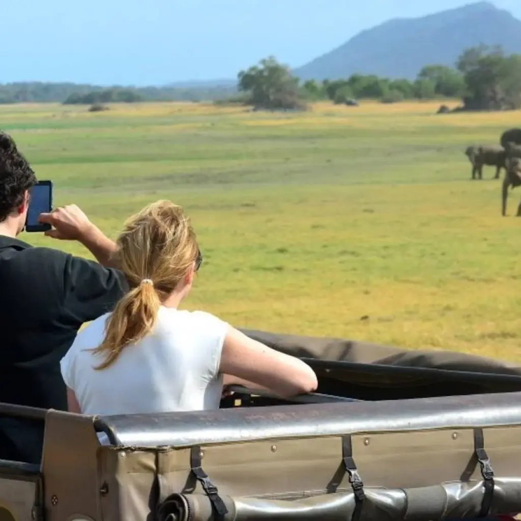 Explore Dream Path Of Sri Lanka for 10 days with BH Lanka Tours  and discover unforgettable experiences - Photo 2