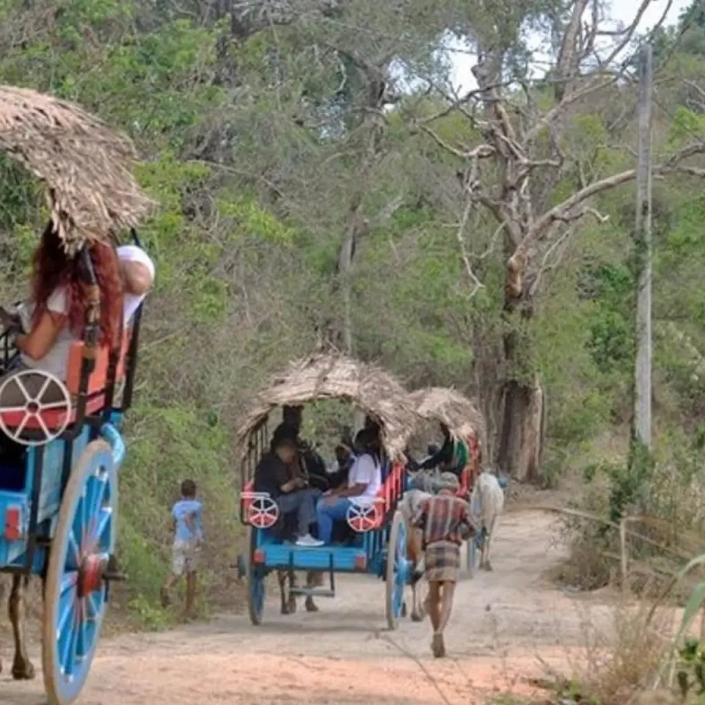 Explore Two Weeks In Sri Lanka for 14 days with BH Lanka Tours  and discover unforgettable experiences - Photo 3