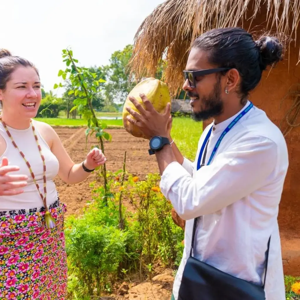 Explore Backpacking Sri Lanka (15 days) for 15 days with Backpacking Tours and discover unforgettable experiences - Photo 2