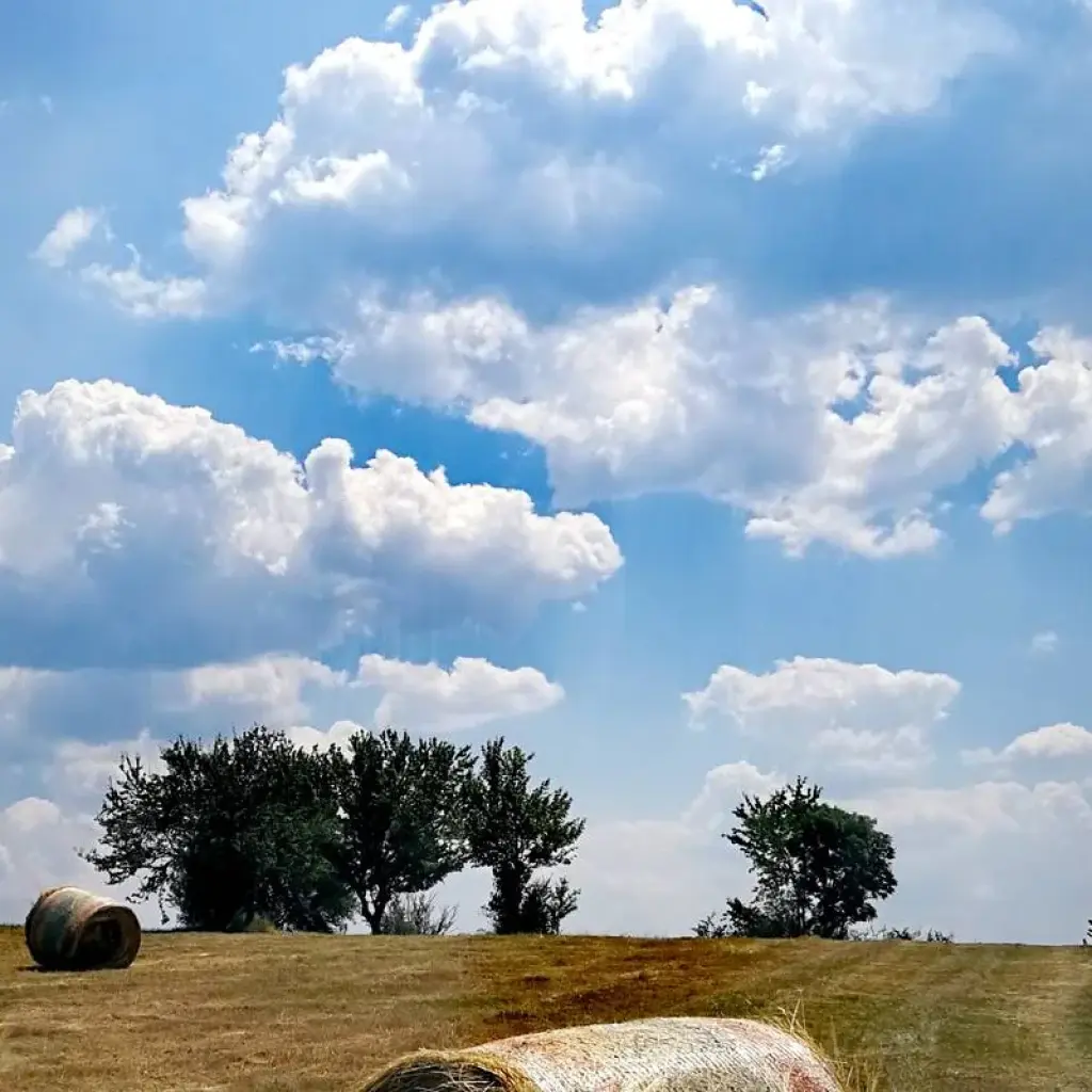 Explore Serbia Top attractions in 7 days for 7 days with Balkan roads and discover unforgettable experiences - Photo 2