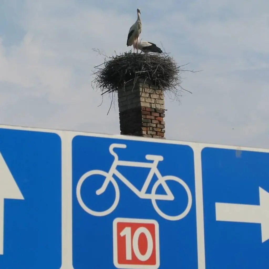 Explore Cycling along the Lithuanian Seaside (from Klaipeda) for 8 days with Baltic Bike Travel UAB and discover unforgettable experiences - Photo 2