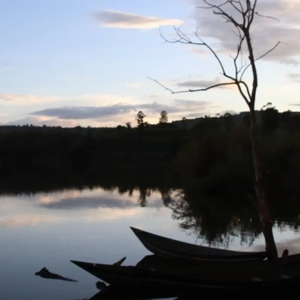 Explore 4 Day Gorillas, Wildlife and Chimp Trek at Kalinzu Forest for 4 days with Bamboo Ecotours and discover unforgettable experiences - Photo 2