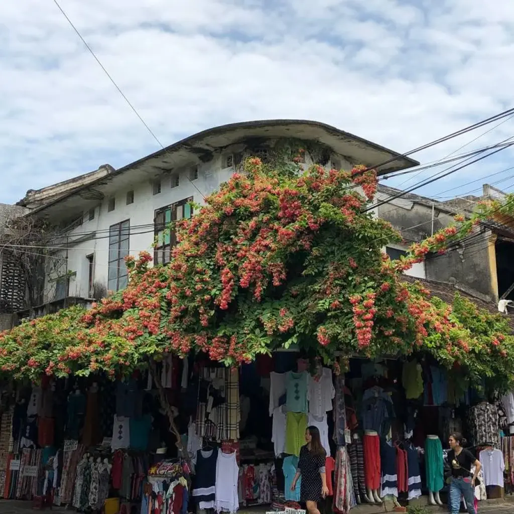 Explore Vietnam Insight package tour in 11 Days for 11 days with Bamboo Hat Tours.,ltd and discover unforgettable experiences - Photo 2