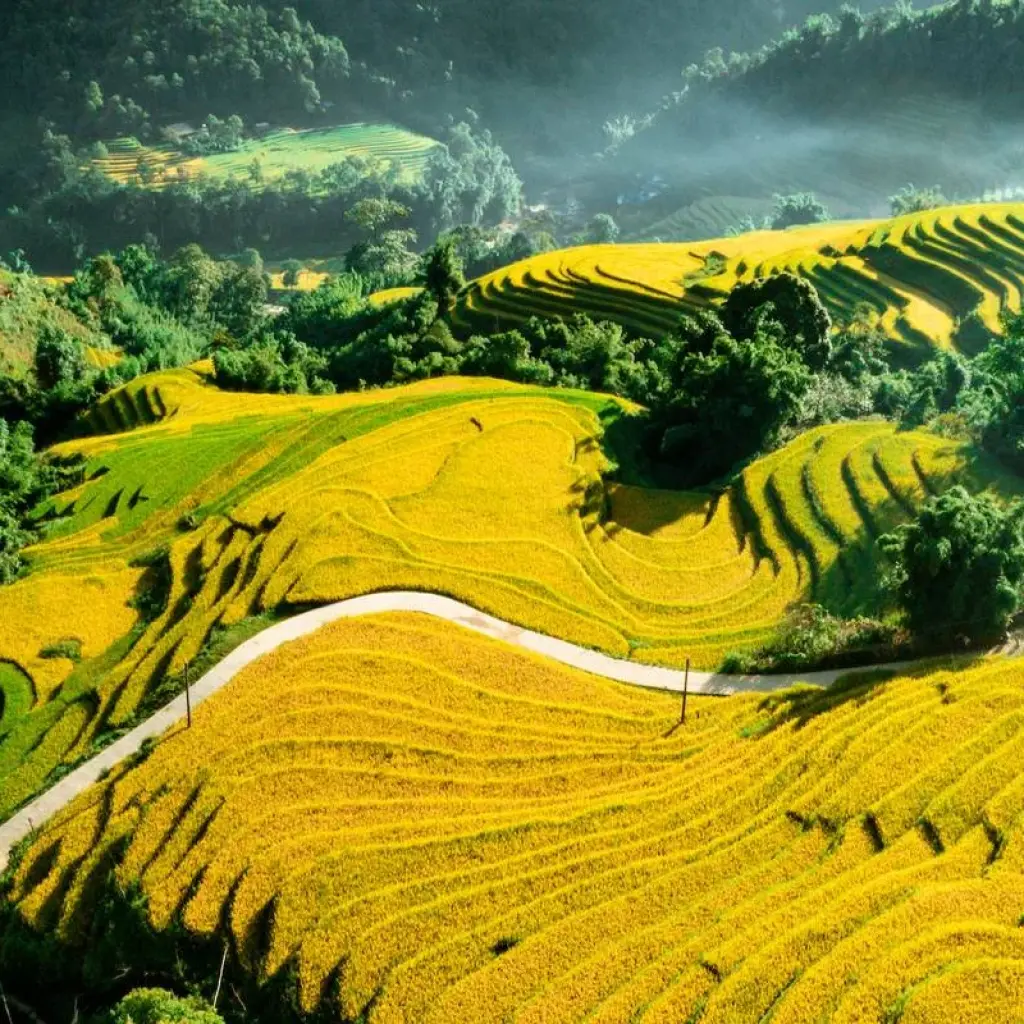 Explore Discover the Wonders of Northern Vietnam 7 days Hanoi, Sapa, Halong. for 7 days with Bamboo Hat Tours.,ltd and discover unforgettable experiences - Photo 2