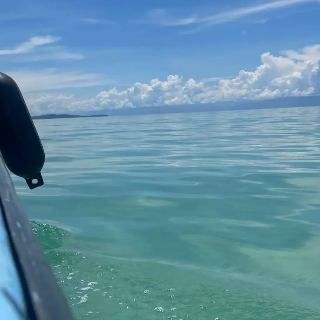 Explore Discover the Unseen Panama 13D/12N for 13 days with Bamba Travel and discover unforgettable experiences - Photo 2