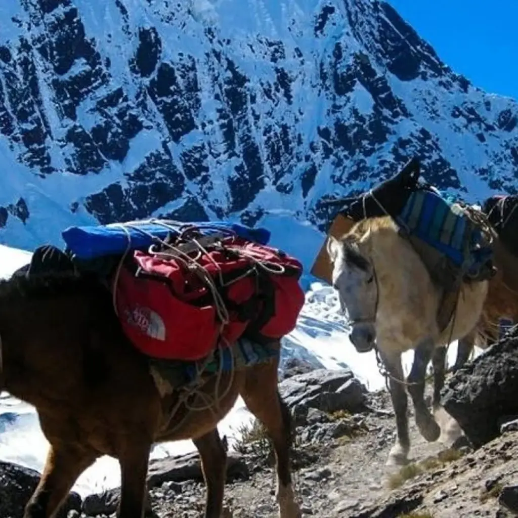 Explore Ausangate Trek 4D/3N for 4 days with Bamba Travel and discover unforgettable experiences - Photo 2