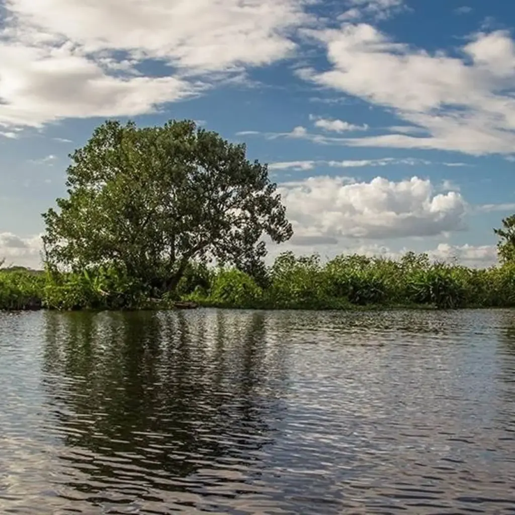 Explore Cancun to Panama City Travel Pass for 48 days with Bamba Travel and discover unforgettable experiences - Photo 2