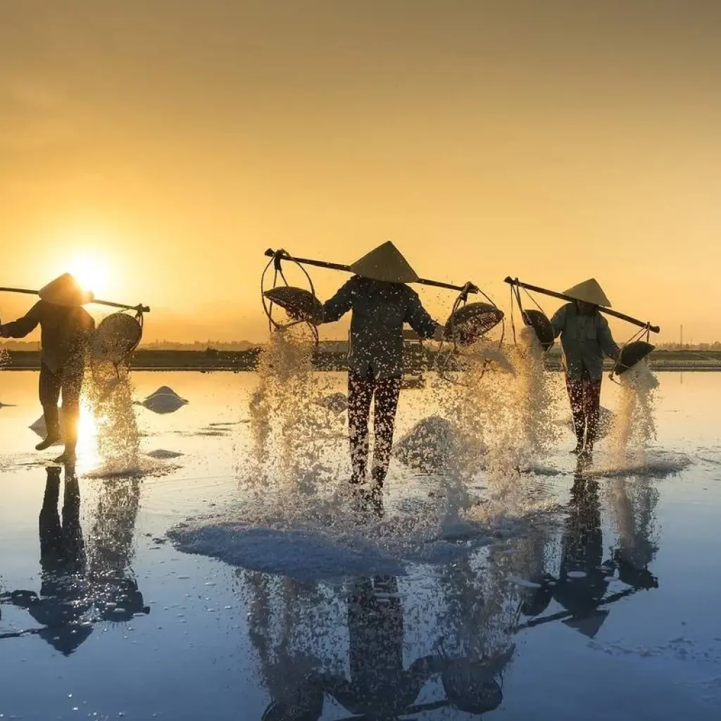 Explore Vietnam: Private Tour & Bathing (incl. flight) for 17 days with Bavaria Fernreisen and discover unforgettable experiences - Photo 2