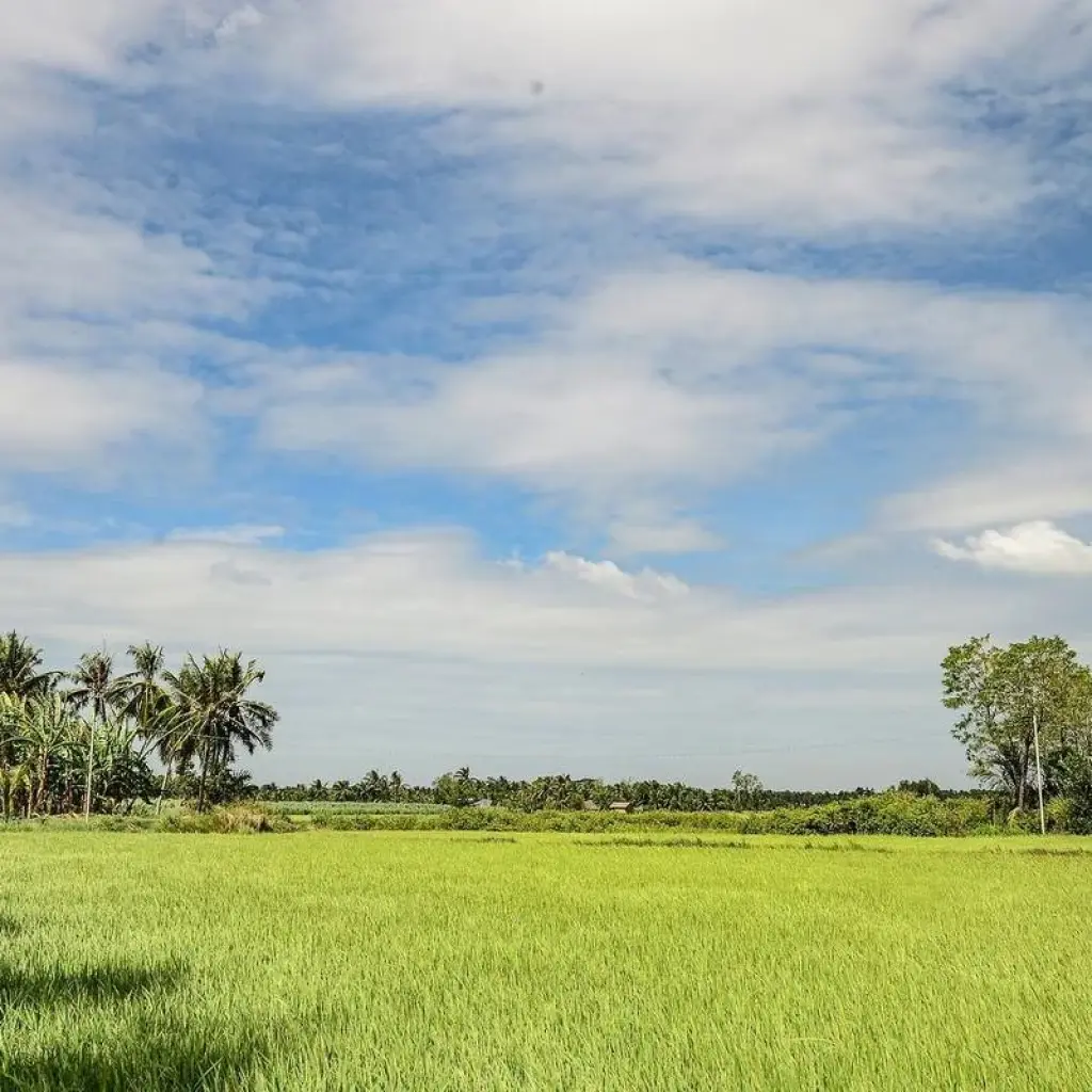 Explore Laos, Vietnam & Cambodia: Small Group Roundtrip & Bathing (incl. flight) for 25 days with Bavaria Fernreisen and discover unforgettable experiences - Photo 2