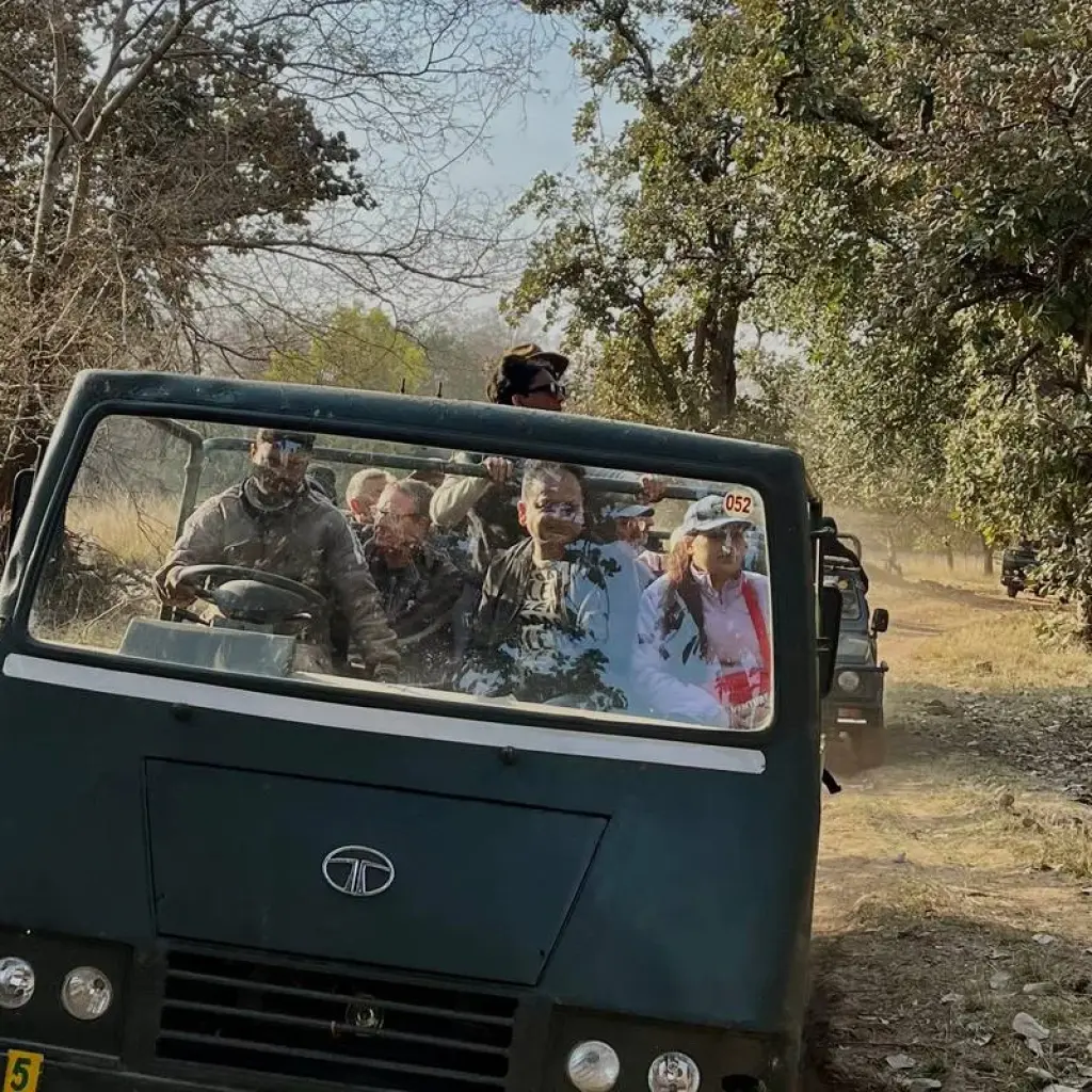 Explore Luxury Taj and Leopards Safari for 5 days with BeMetravels  and discover unforgettable experiences - Photo 2