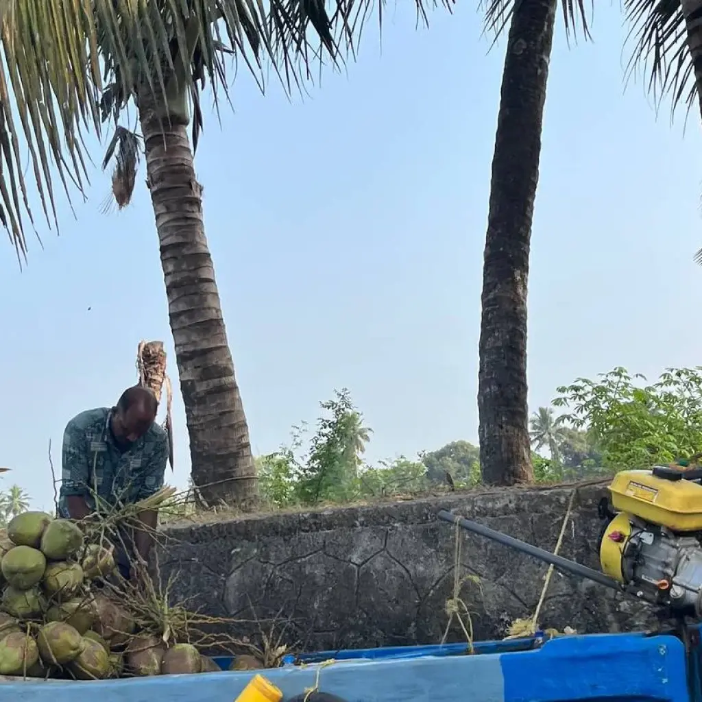 Explore Rajasthan and Kerala Tour for 10 days with BeMetravels  and discover unforgettable experiences - Photo 2