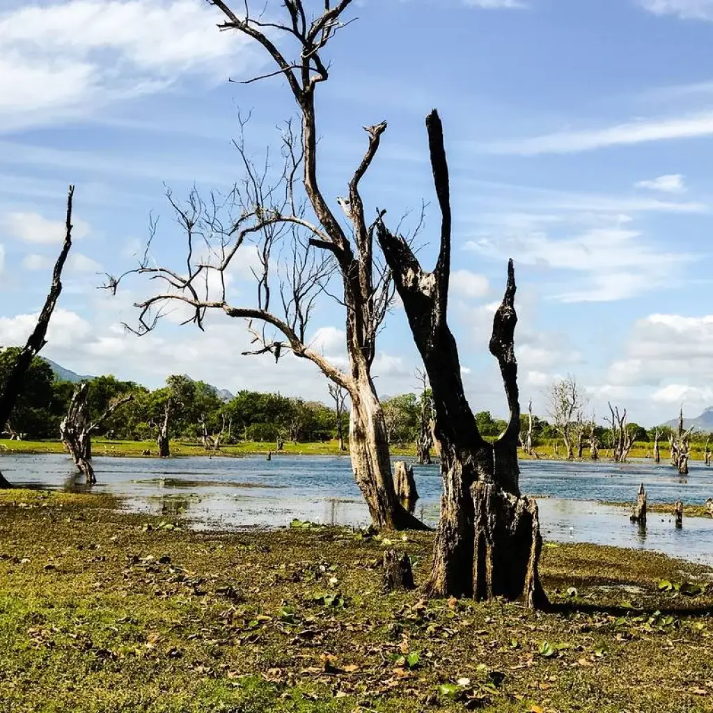 Explore Lift off in Luxury - Sri Lanka Adventour 12 days for 12 days with Beauty Lanka Travels and discover unforgettable experiences - Photo 2