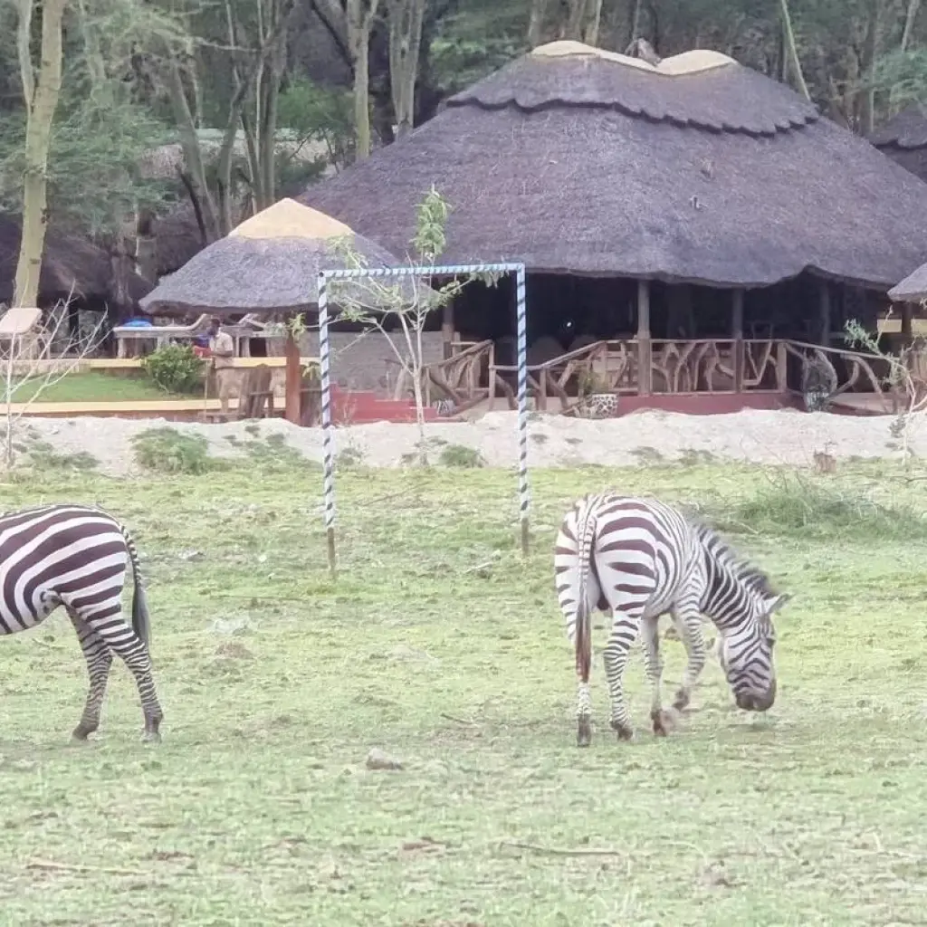 Explore From Kilimanjaro to Zanzibar : 11 days Safari and a Tropical Island ,Tarangire, L.Manyara, Serengeti for 11 days with Beach and Safari Holidays and discover unforgettable experiences - Photo 2