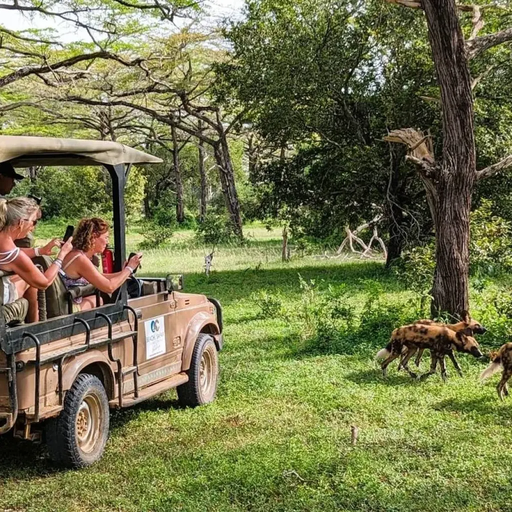 Explore From Zanzibar to Selous G.R: 5 days Wilderness Escape: 3 Full-Day Game Drive Safari and Excursions for 5 days with Beach and Safari Holidays and discover unforgettable experiences - Photo 7