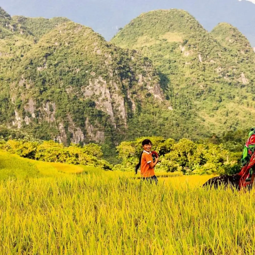 Explore Exploring Mai Chau the remote rural village - Pu Luong Nature Reserve - 3Days/2Nights for 3 days with Bee Gng International Joint Stock Company and discover unforgettable experiences - Photo 2