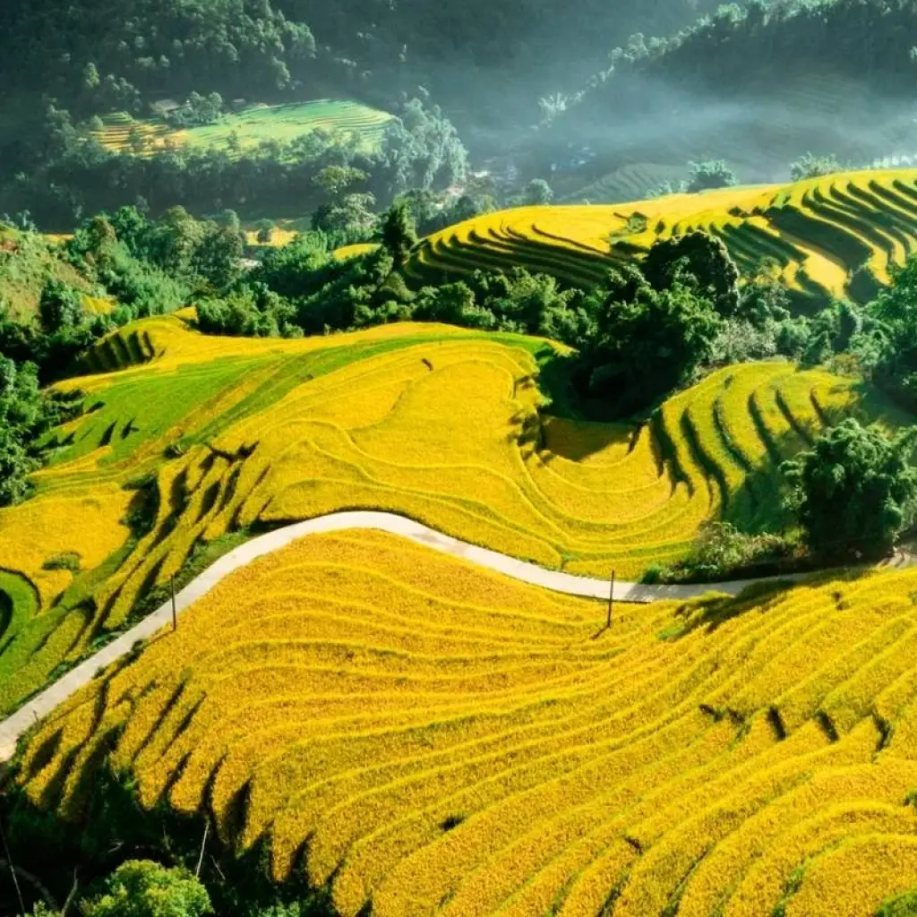 Explore Essence of Northern Vietnam Itinerary 7 Days/6nights for 7 days with Bee Gng International Joint Stock Company and discover unforgettable experiences - Photo 2