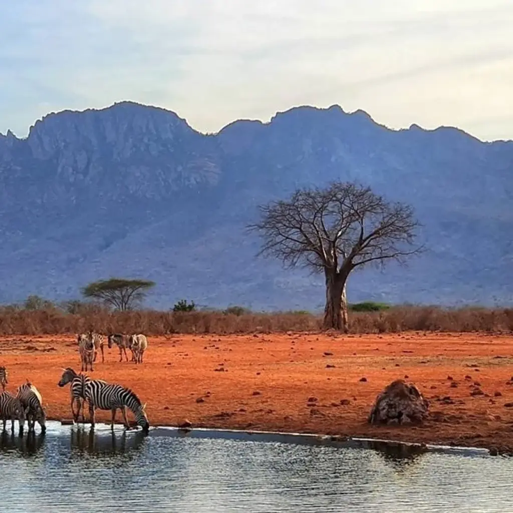 Explore 3 Days Samburu Cultural and Wildlife Safari for 3 days with Bencia Africa Adventure and Safaris and discover unforgettable experiences - Photo 2