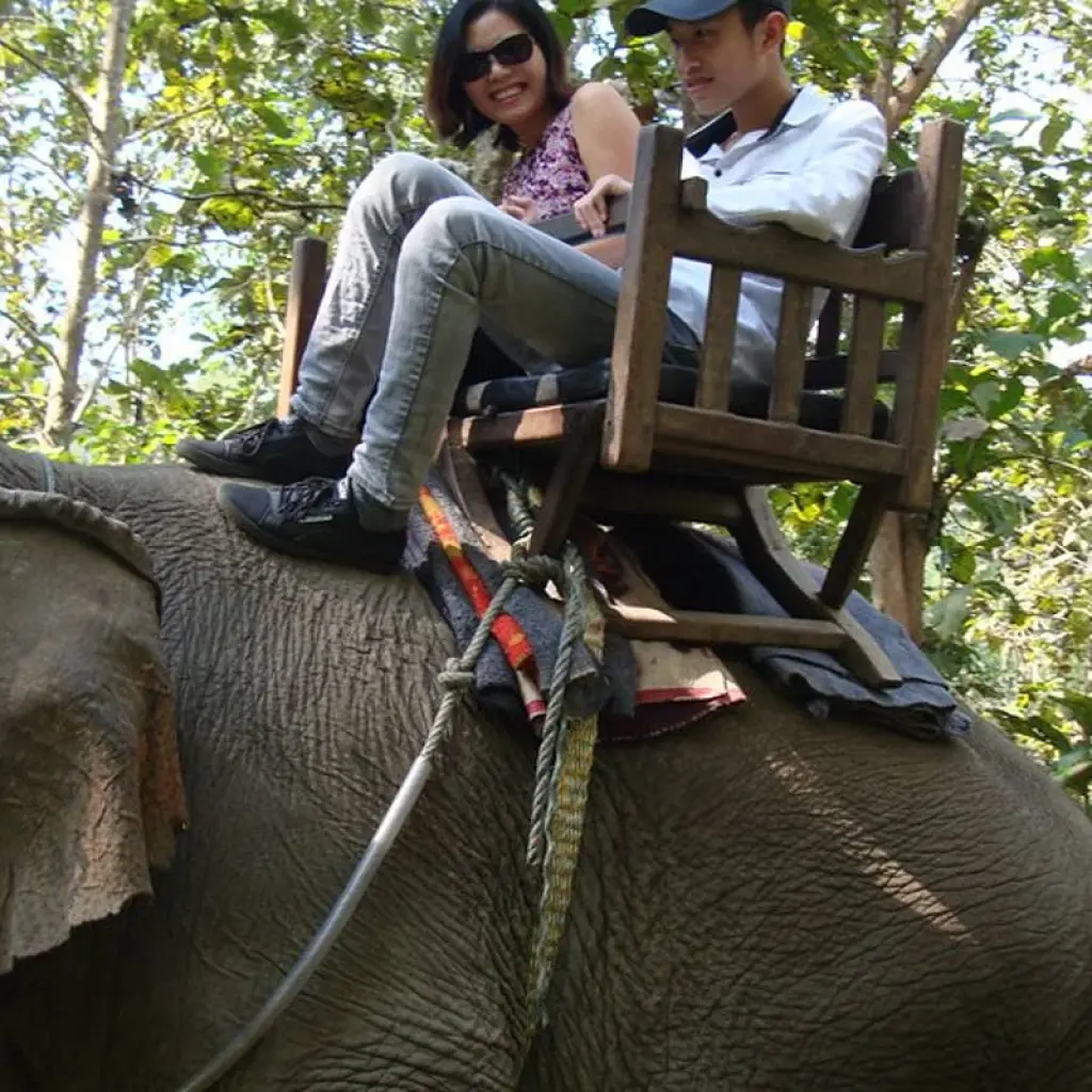 Explore Highlights of Laos-6 Days Private Tour for 6 days with Best Vietnam Tours and discover unforgettable experiences - Photo 2