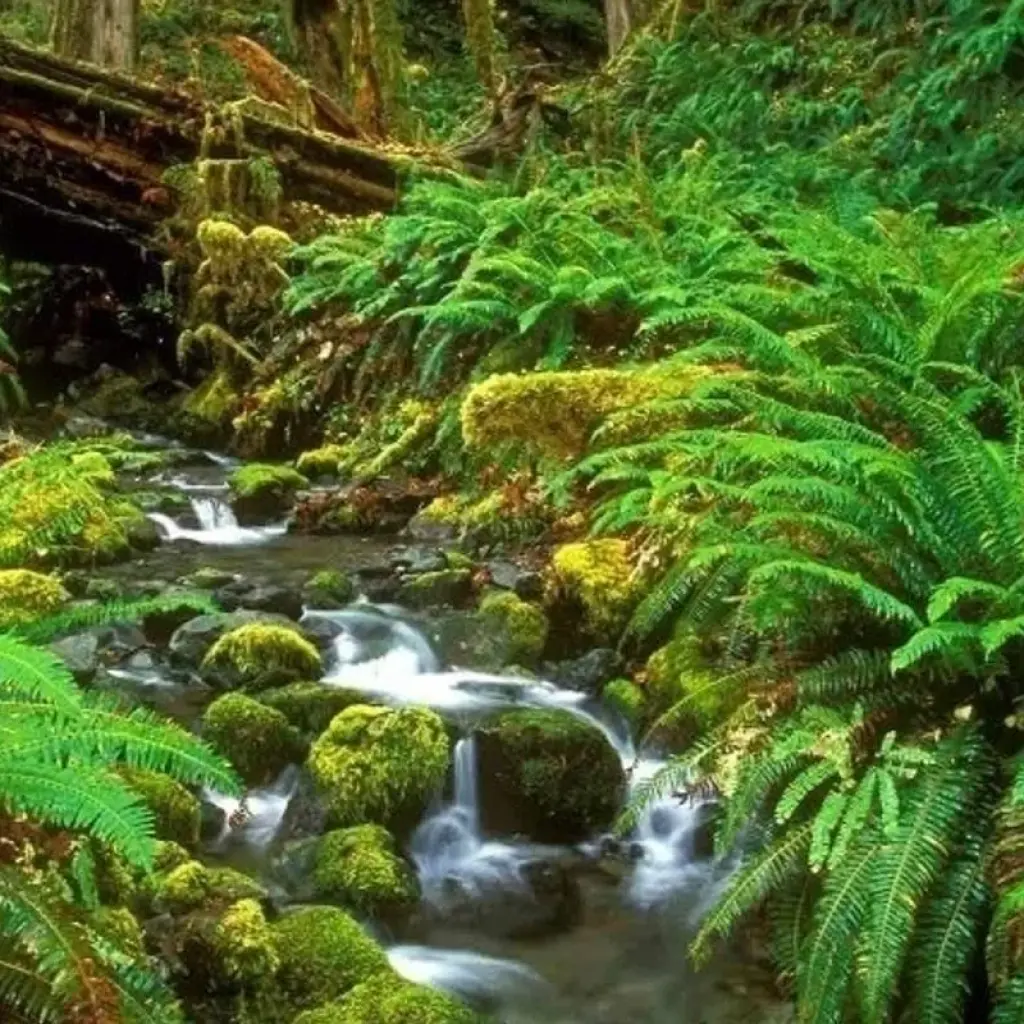 Explore 6-Day Central Highlands UNESCO World heritage adventure tour for 6 days with Beyond Escapes and discover unforgettable experiences - Photo 2