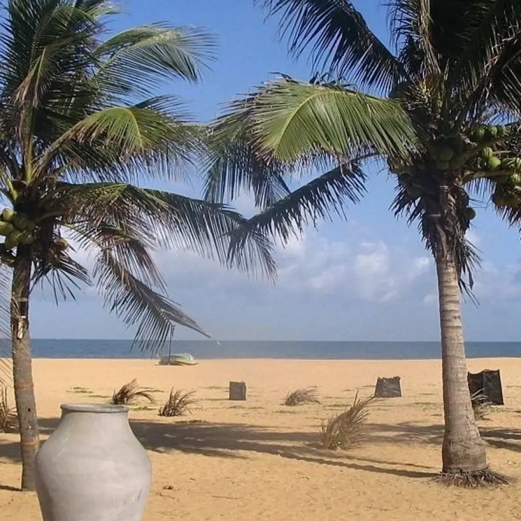 Explore 5-Day Negombo Sightseeing & Beach for 5 days with Beyond Escapes and discover unforgettable experiences - Photo 2
