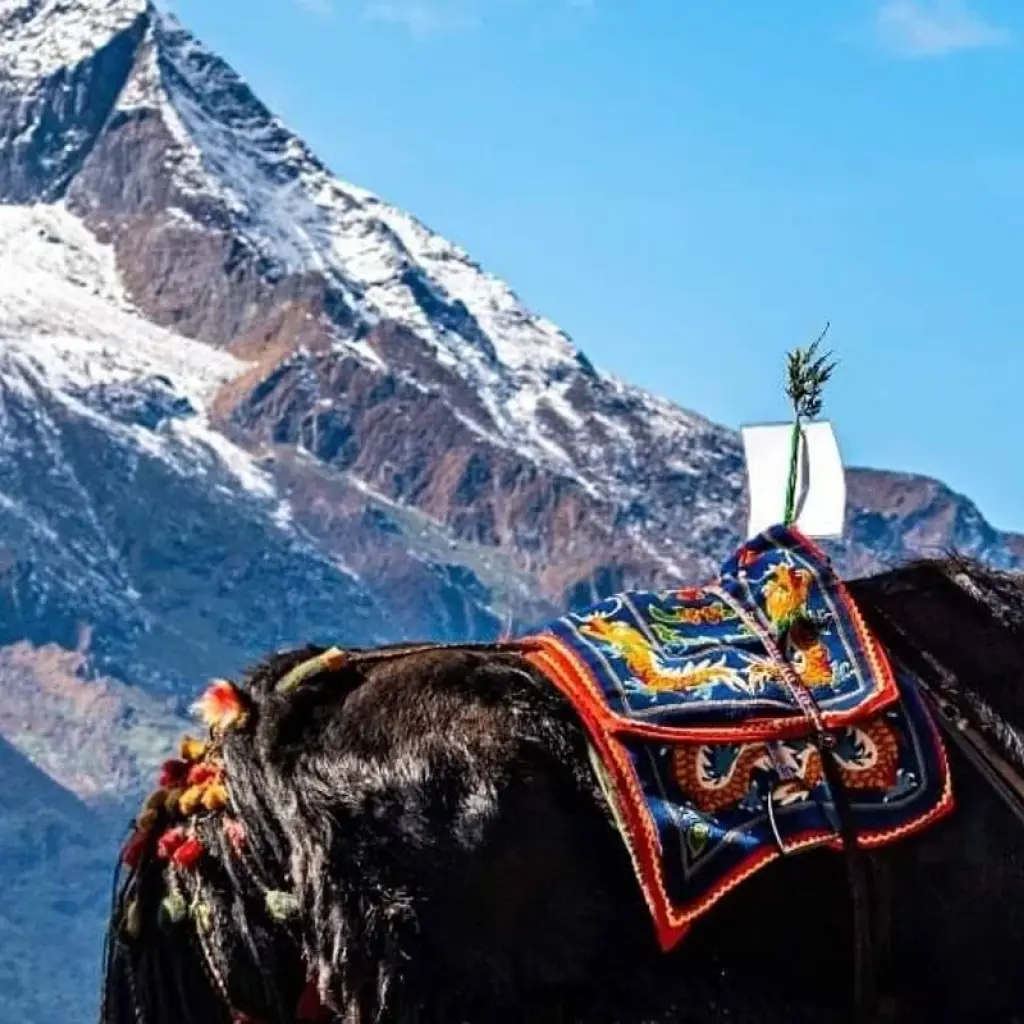 Explore don't be slow! our prices are best. 11 nights 12 days nepal bhutan tour 2024-2026 for 12 days with Bhutan Travel Gate and discover unforgettable experiences - Photo 2