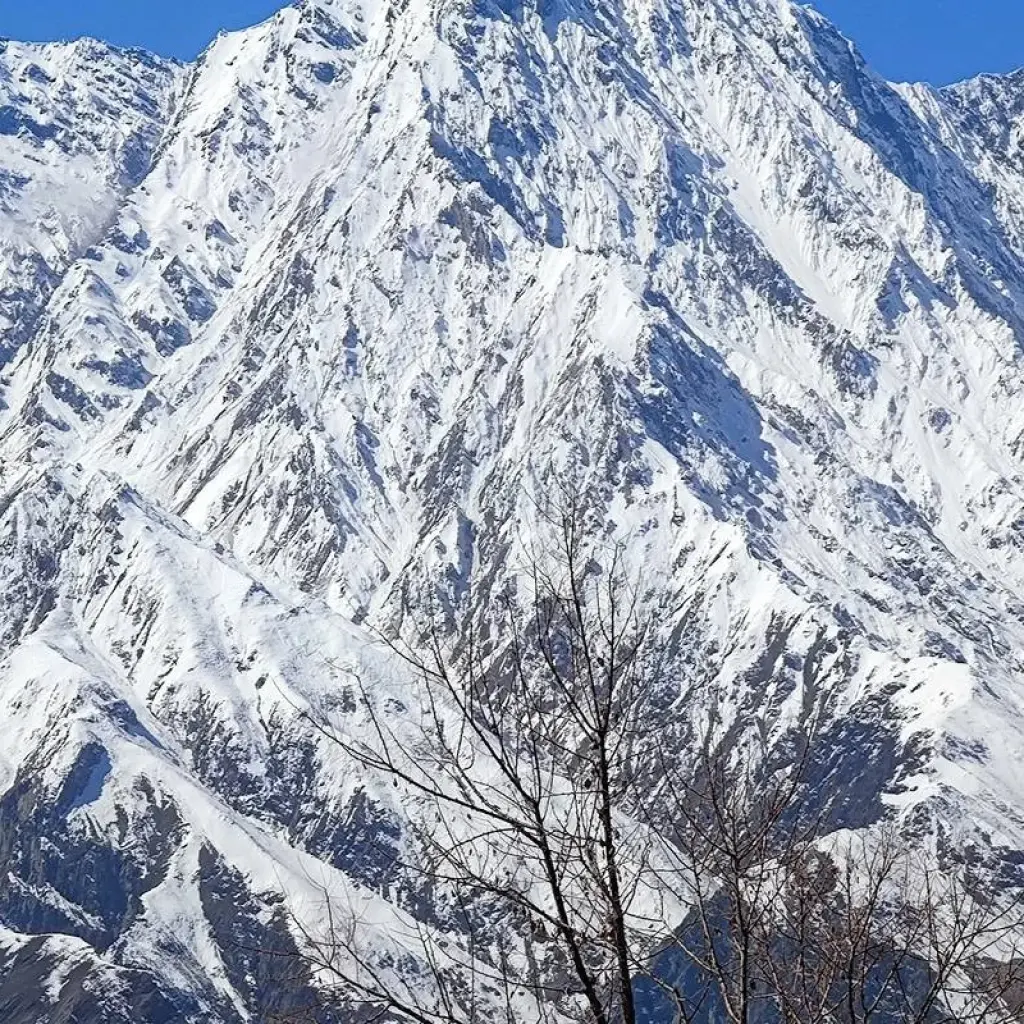 Explore Nangma and Thallay La Trek for 15 days with Beyond the Valley  and discover unforgettable experiences - Photo 2