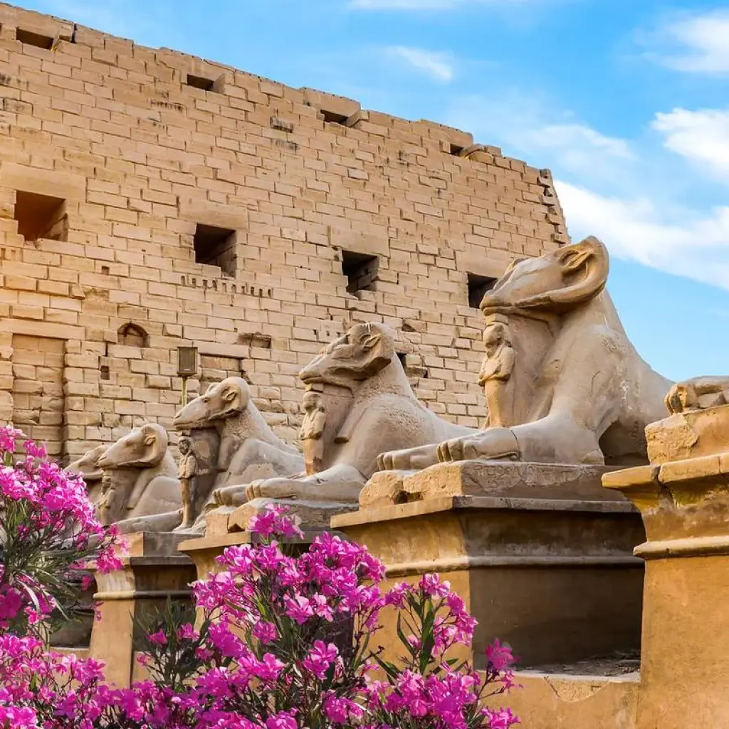Explore 13 Days Overland Budget Package in Egypt for 13 days with Beyond The Nile Tours and discover unforgettable experiences - Photo 2