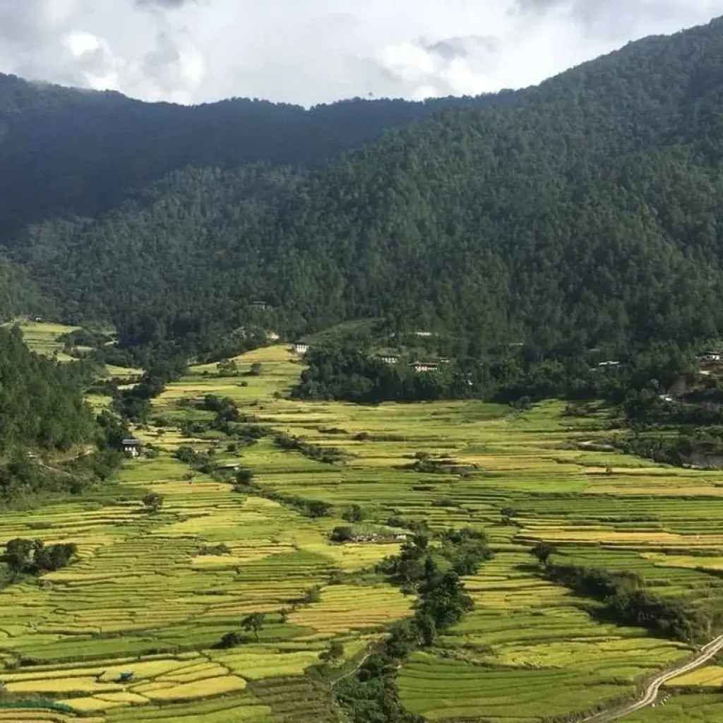 Explore Amazing Bhutan From East To West for 16 days with Bhutan Acorn Tours & Travel and discover unforgettable experiences - Photo 2