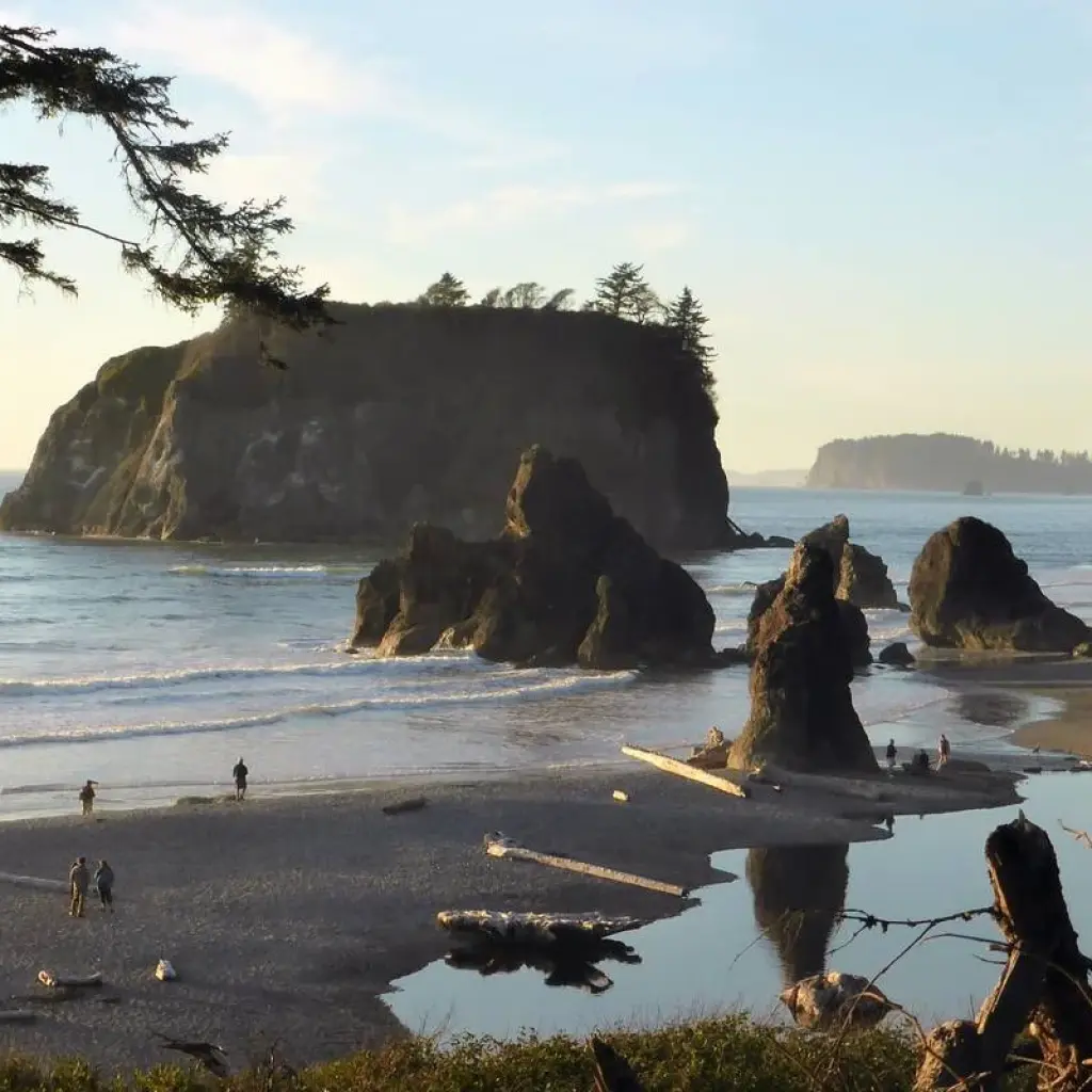 Explore Olympic National Park & Discovery Trail Bike Tour for 6 days with Bicycle Adventures and discover unforgettable experiences - Photo 2