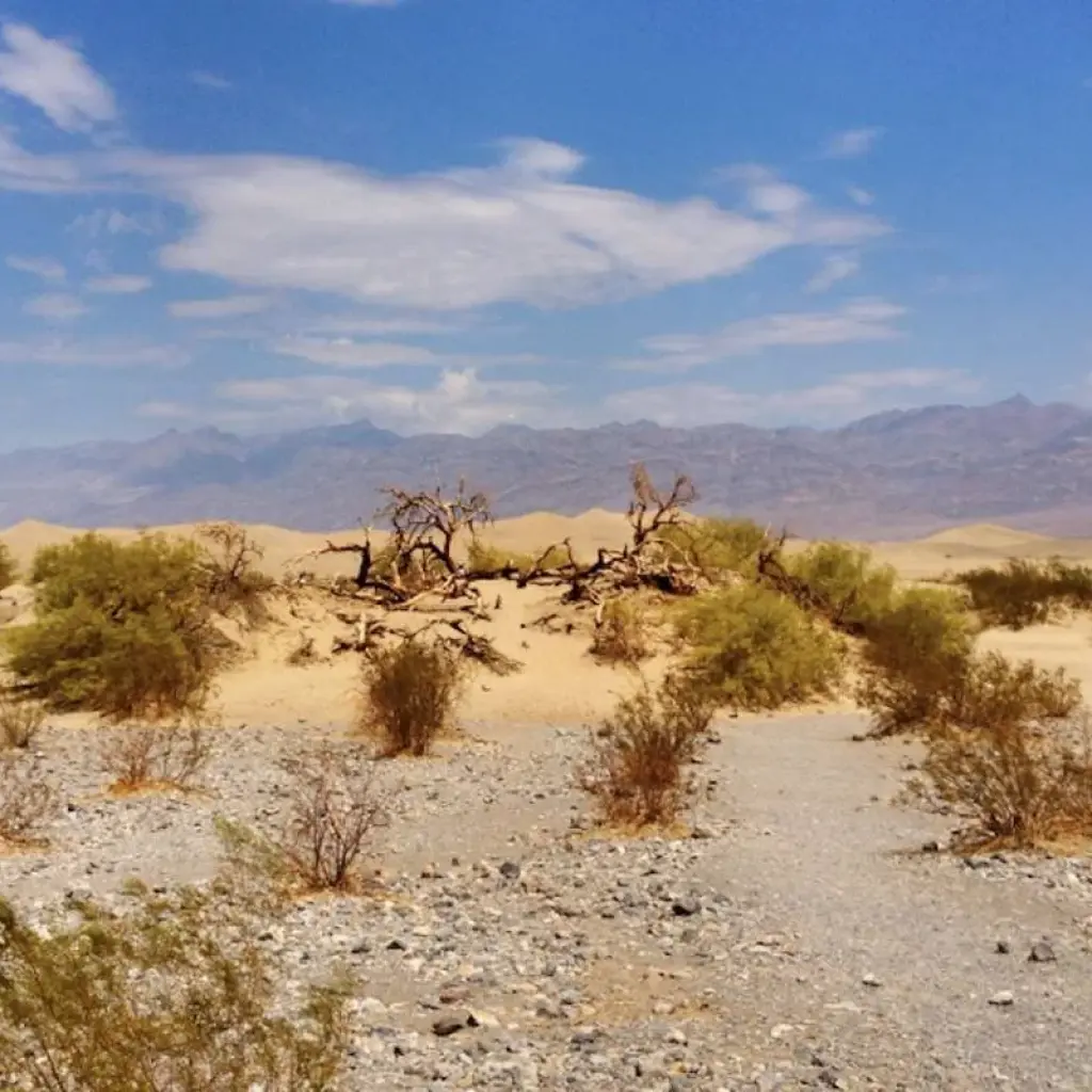 Explore Wild West Ghost Town Explorer Day Tour from Las Vegas for 1 days with Bindlestiff Tours and discover unforgettable experiences - Photo 2