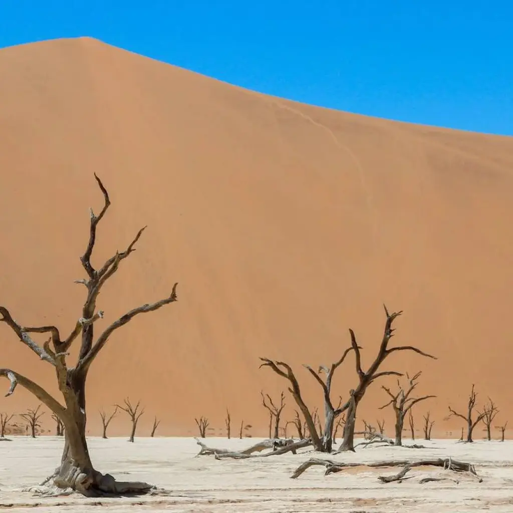 Explore 5 Days Sossusvlei & Coast Accommodated Tour for 5 days with Bluecrane Safaris Namibia and discover unforgettable experiences - Photo 2