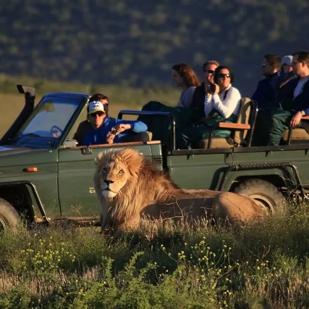 Explore 4 Day Garden Route Adventure for 4 days with Bokbus Garden Route Adventure Tours & Safaris and discover unforgettable experiences - Photo 2