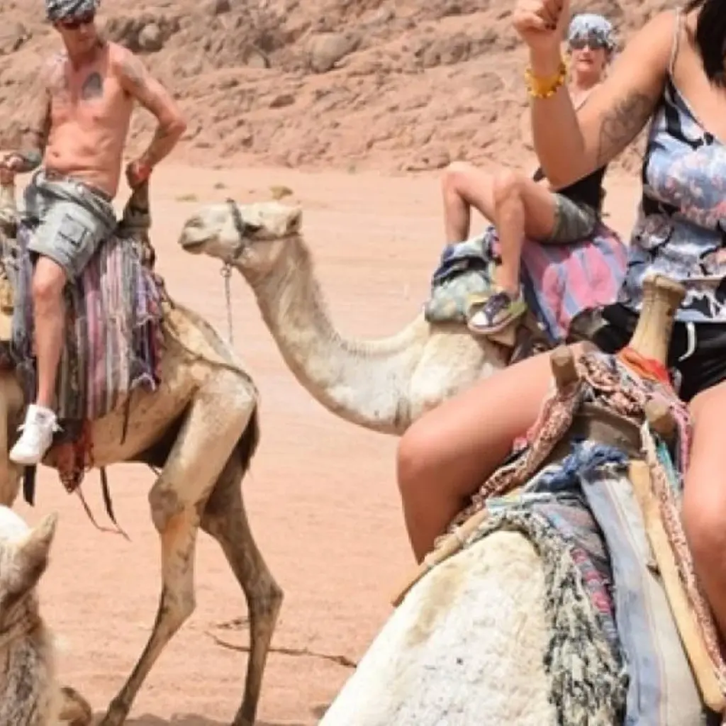 Explore 10 Days Cairo, Nile Cruise & Hurghada for 10 days with Booking To Egypt and discover unforgettable experiences - Photo 2