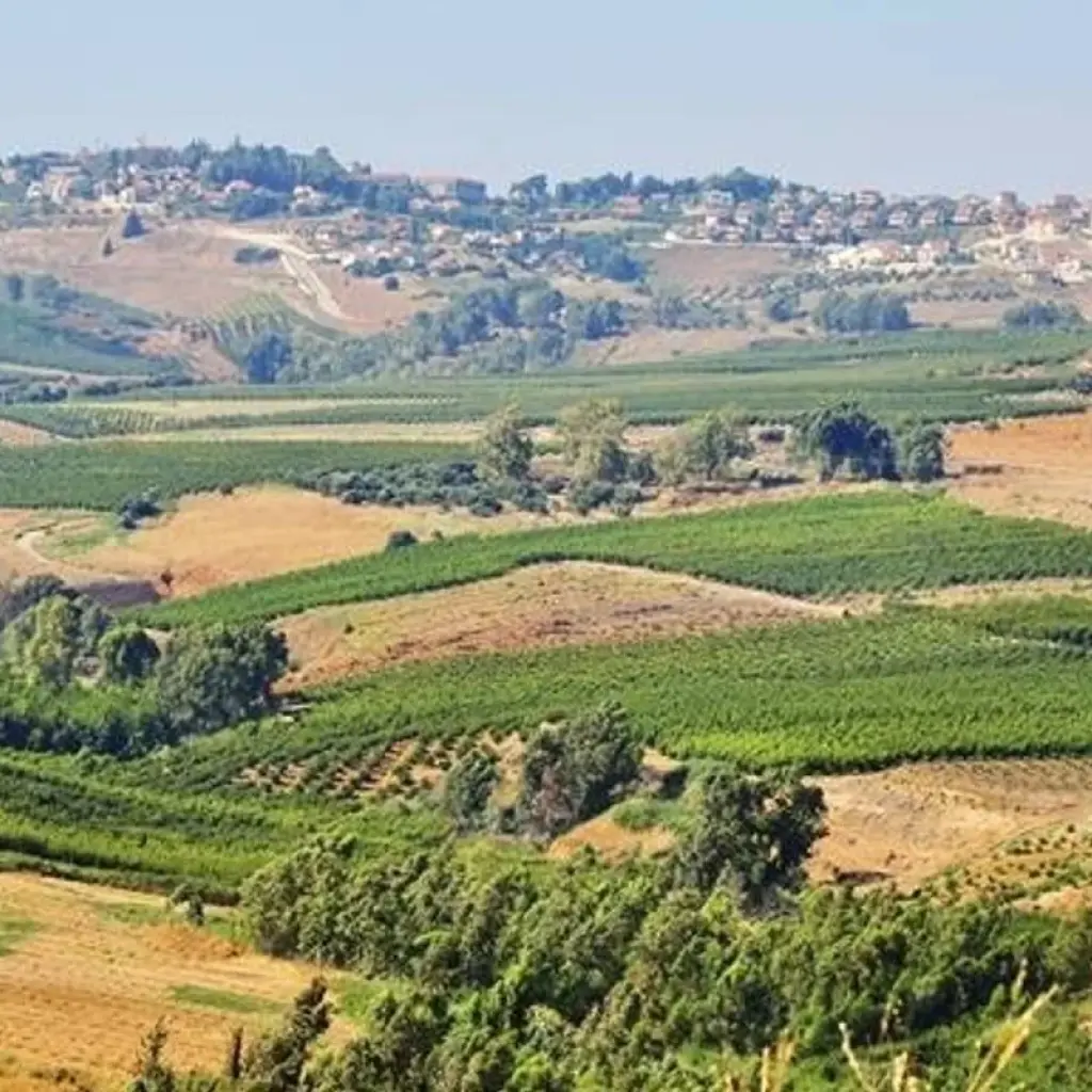 Explore 5 days in Israel for 5 days with Booking Tours and discover unforgettable experiences - Photo 2