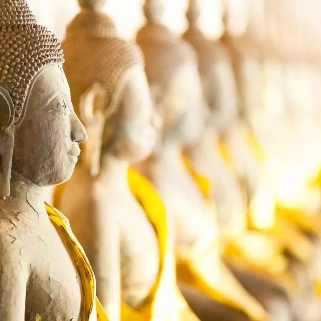 Explore Northern Thailand Discovery 7 Days for 7 days with Bravo Indochina Tours and discover unforgettable experiences - Photo 2