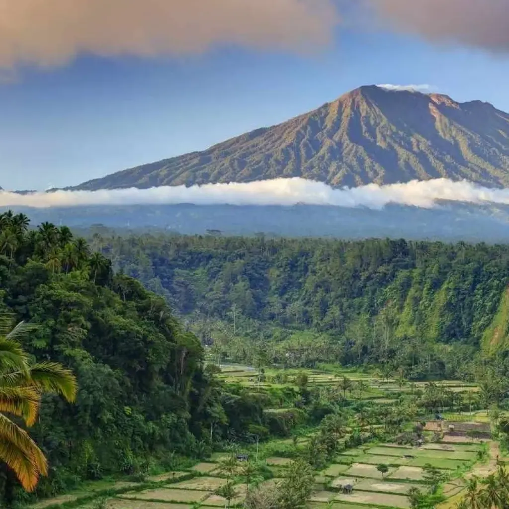 Explore Bali Natural & Cultural Immersion Tour 7 Days for 7 days with Bravo Indochina Tours and discover unforgettable experiences - Photo 2